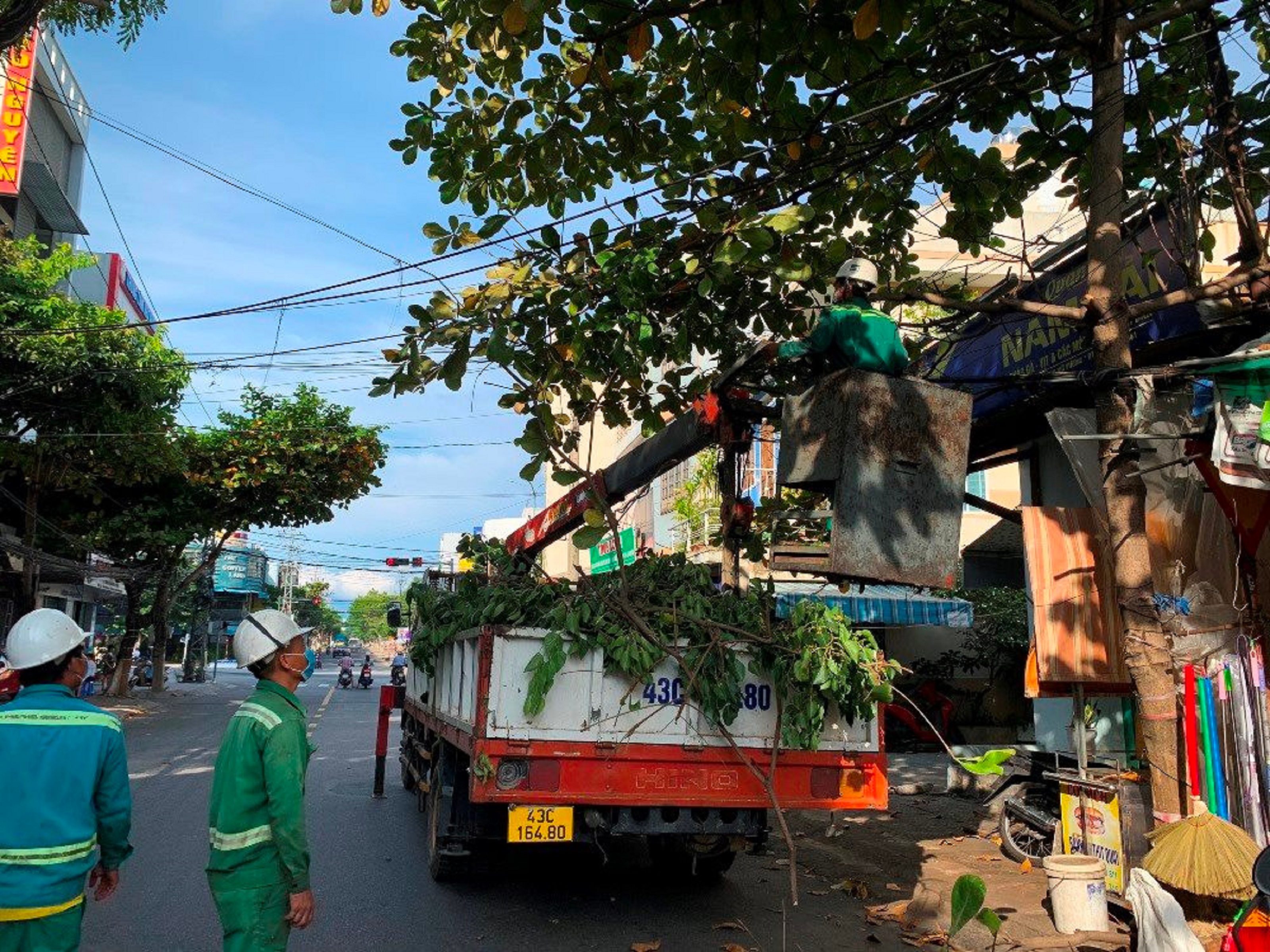 Đà Nẵng cắt tỉa hàng chục ngàn cây xanh trước mùa mưa bão